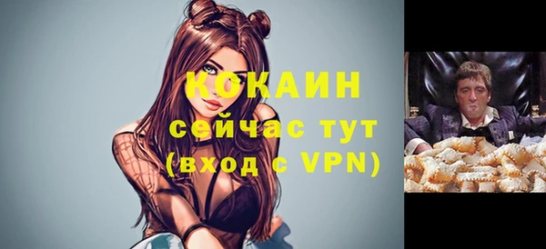 гашик Новозыбков