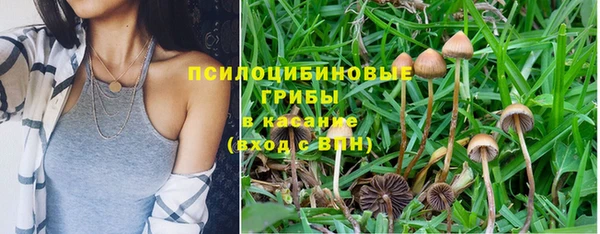 спайс Нефтекумск
