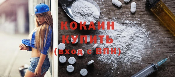 гашик Новозыбков