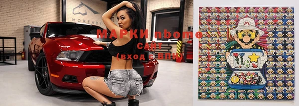 гашик Новозыбков