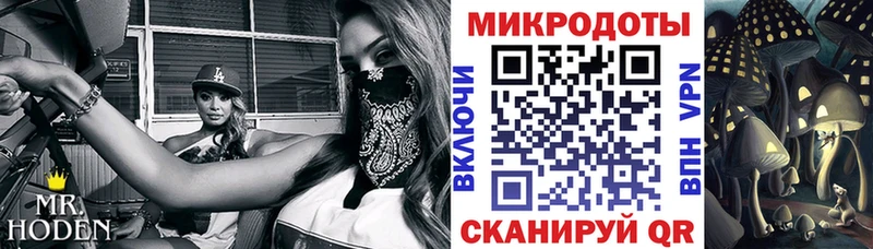 Галлюциногенные грибы Cubensis  Осташков 