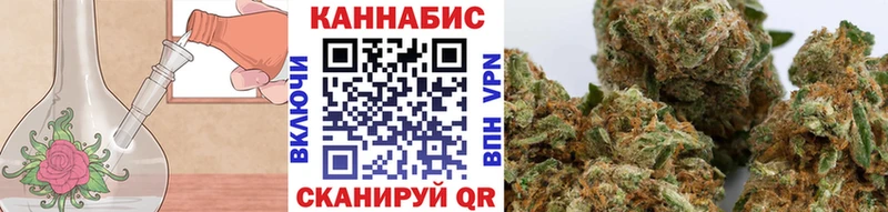 Бошки Шишки Amnesia  Осташков 